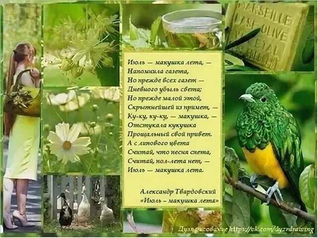 Твардовский макушка лета