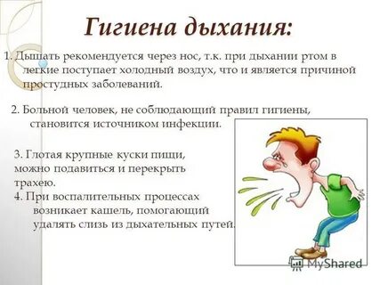 Гигиена дыхания 8 класс