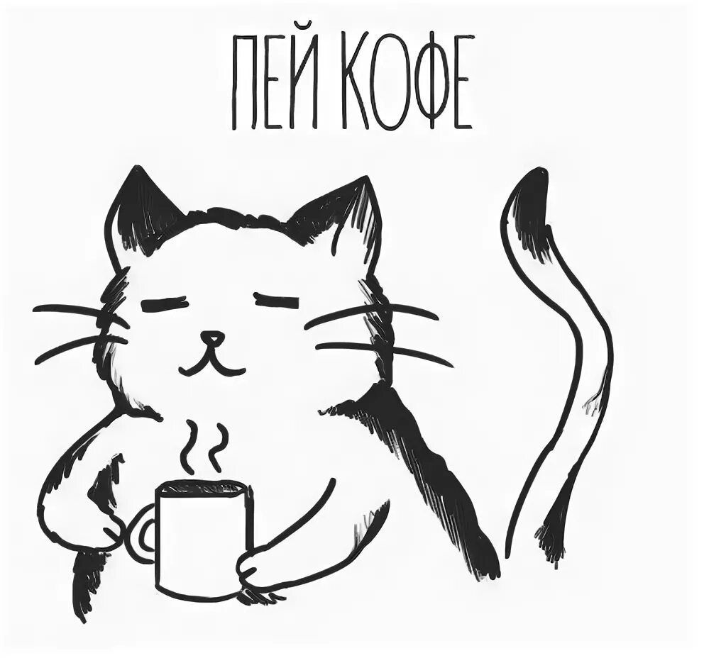 Кот с кофе мем Cat drinking coffee Cat drinking, Coffee humor, Cat coffee