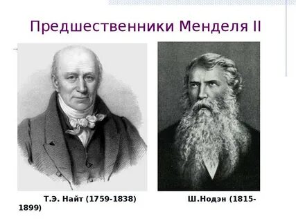 Э э э найт