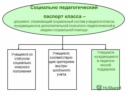 Социальный статус учащегося