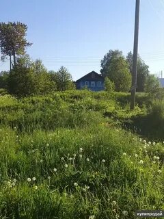 Д алексино