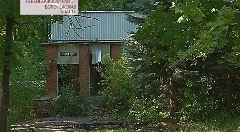Электрички березовая роща углянец