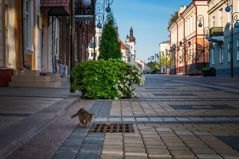 Улицы провинций песня