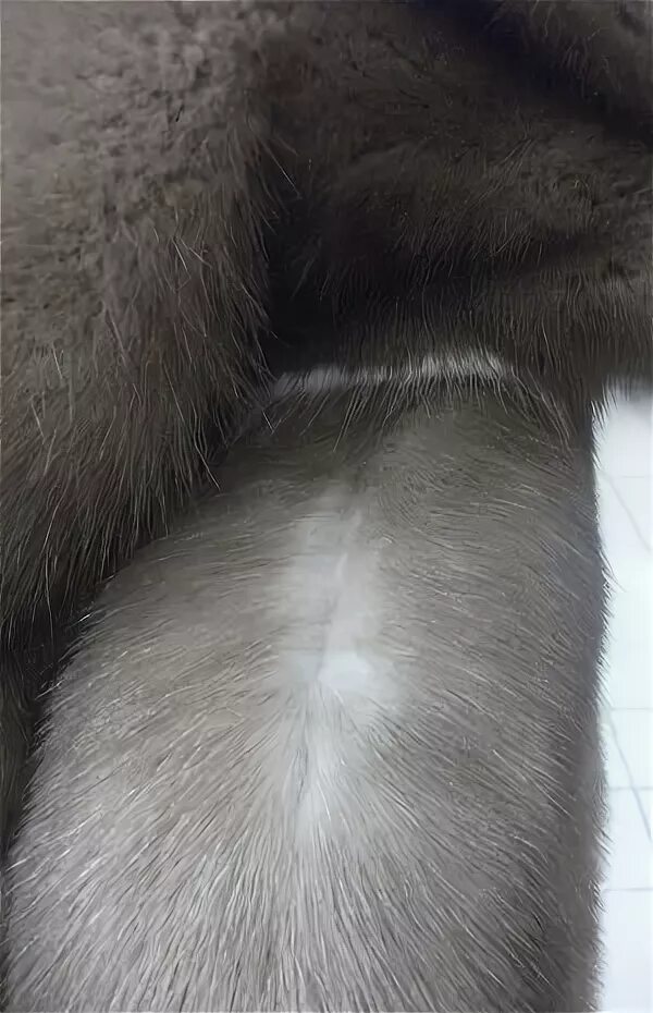 На шубе появились. Проплешины на шубе. Заломы на мехе норки. Расколы на норковой шубе. Потертости на шубе норковой.