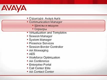 Avaya communication