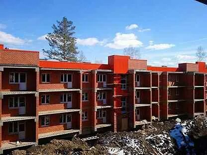 Березовый иркутск