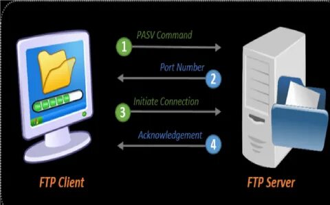 Ubuntu FTP сервер: установка и настройка.