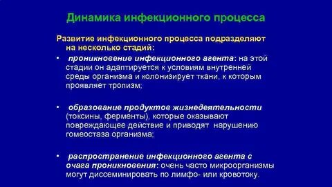 Этапы развития инфекции