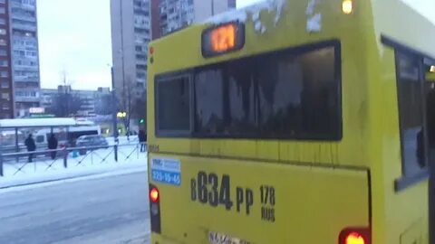 121 автобус спб