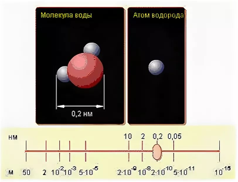 Размер атома водорода. Сравнительные Размеры атома. Размер атома водорода в миллиметрах. Размер атома водорода в НМ. Атом сравнение размеров