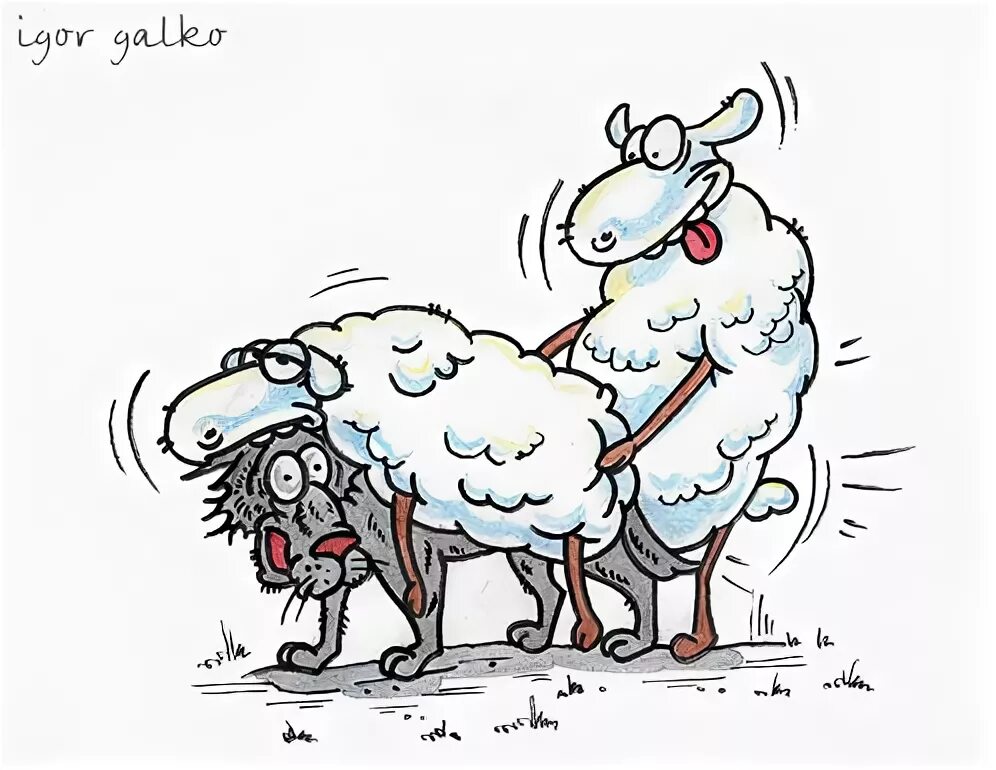 Как бьют бараны. Как бьют бараны