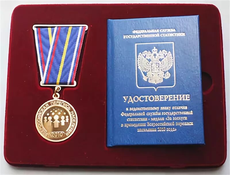 Медаль за заслуги в проведении всероссийской переписи населения. Медаль за перепись 2021. Медаль перепись населения 2010 года. Медаль сельскохозяйственная. Медаль за заслуги в проведении всероссийской переписи населения.