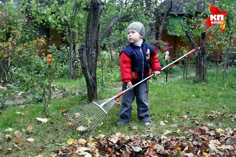 Семья садовых