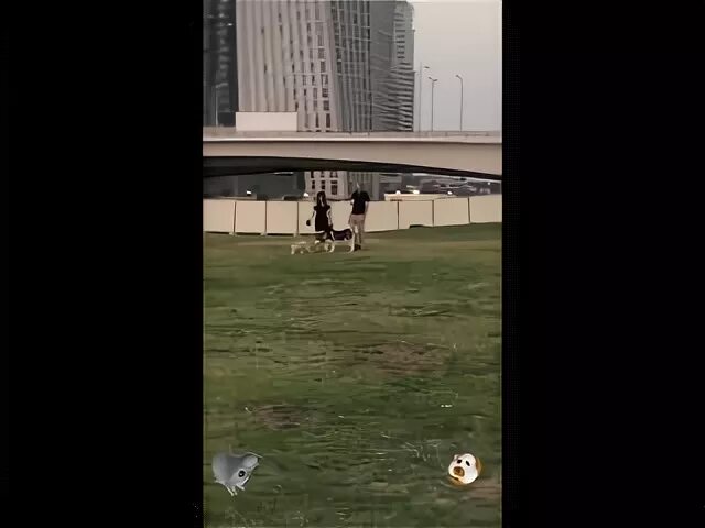 Выступление дурова в дубае 2025. Дубай секта дурова.