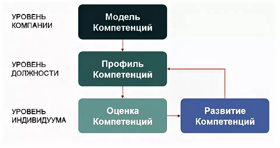 Профиля компетентности. Модель и профиль компетенций. Профили должностей и модели компетенций. Модель компетенций это и профиль компетенций. Модель компетенций и профиль должности отличия.