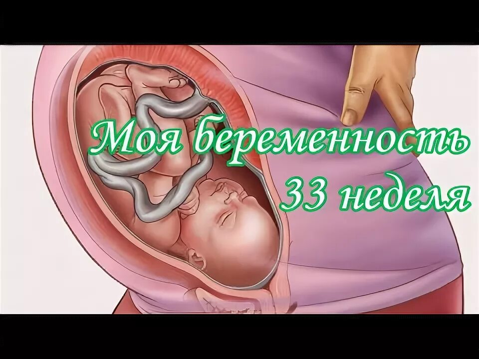 33 недели назад. Малыш на 33 неделе беременности. Ребёнок на 33 неделе беременности в животе. Расположение ребенка на 33 неделе. Расположение ребенка на 33 неделе беременности.