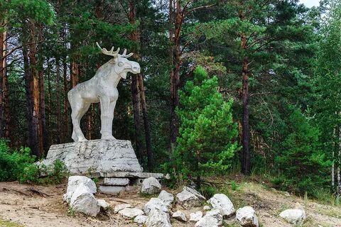 Животные марий эл