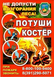 Листовки в лесу