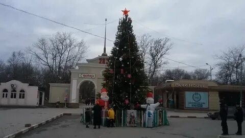 Ели в бузулуке