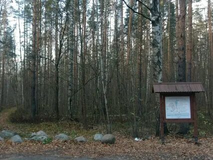 Новоорловском заказнике