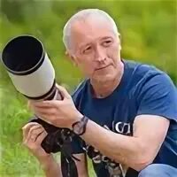 Дубовой отзывы