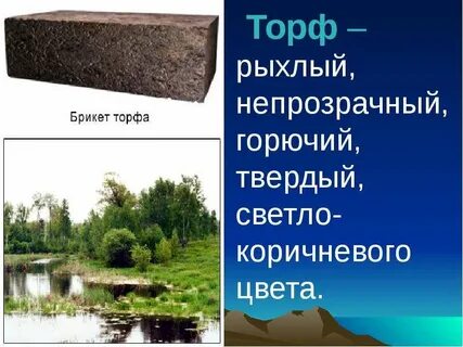 К какому виду относится торф