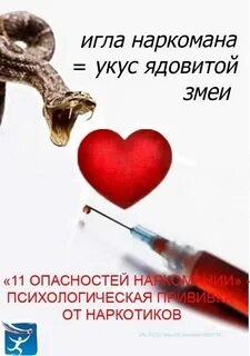 Сыворотка от укуса гадюки