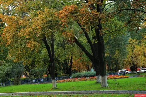 Аллея череповец