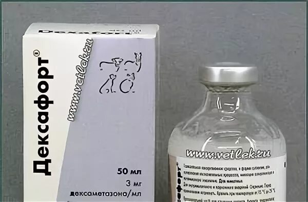Дексафорт для собак инструкция по применению. Дексафорт глазные капли. Дексафорт глазные капли. Дексафорт глазные капли. Дексафорт для кошек уколы.