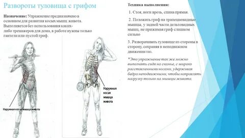 Повороты туловища это