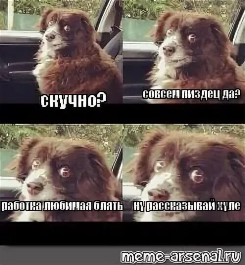 Врубай шуфика мем. Врубай шуфика мем