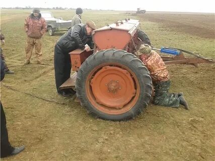 Погода в кормовом