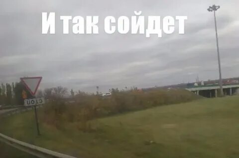 Шел сошел