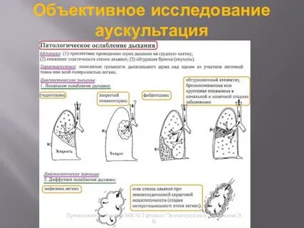 Дыхание пропедевтика внутренних болезней
