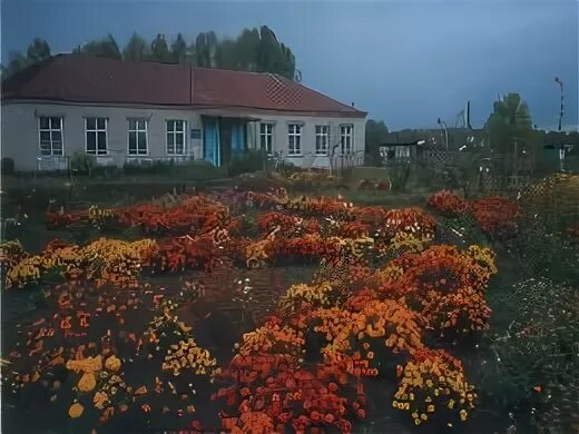 Деревня белобородово северск. Погода в белобородово. Снт белобородово. Деревня прогресс кемеровская область. Вывеска белобородово нсо.