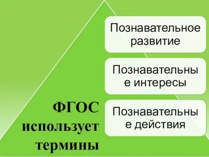 Определение познавательное развитие