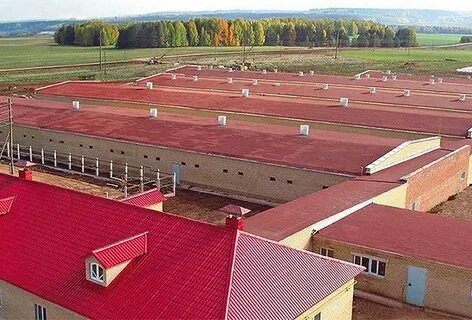 Дороничи чепецк