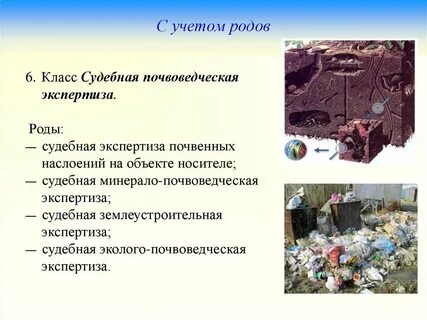 Роды экспертиз