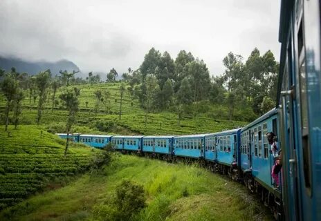 It s safe to travel train