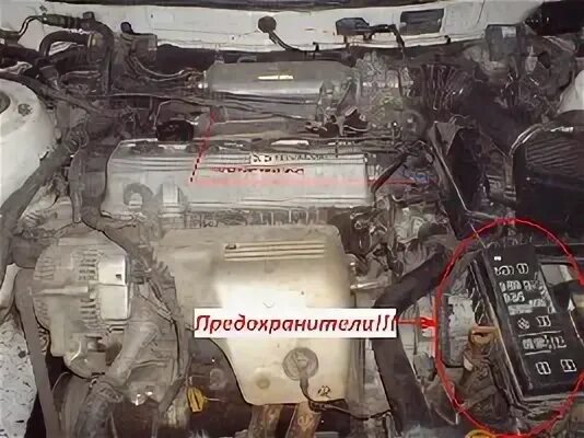 Где находится виста. Тойота виста двигатель 5s. тойота виста 1991 3s fe датчик коленвала. тойота виста 1998 под капотом. тойота спринтер двигатель 3е датчик давления.