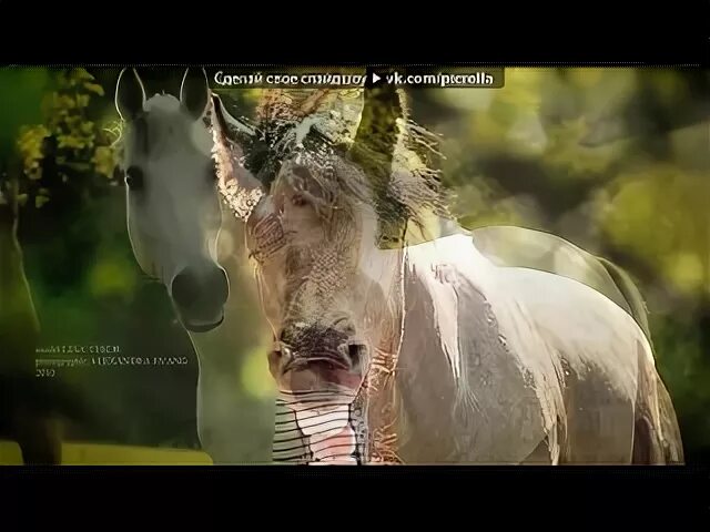 Молодая лошадь ремикс далеко далеко. Молодая лошадь ремикс далеко далеко