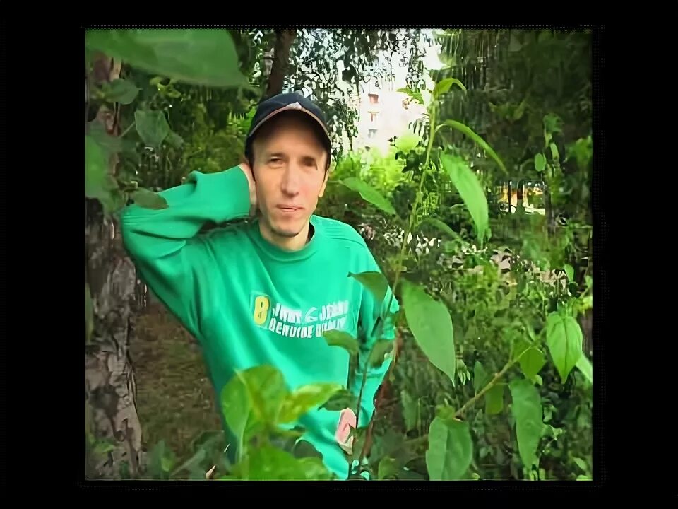 Лидер группы лес. Представитель группы лес.