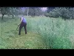 Видео кошу