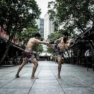 Evolved fighting