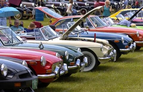 Related cars