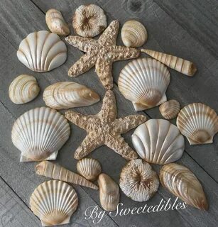 Цвет ракушки