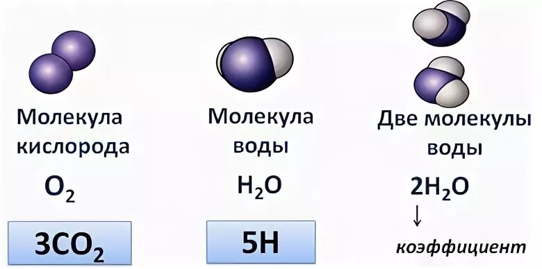 Молекулярная масса углекислого газа