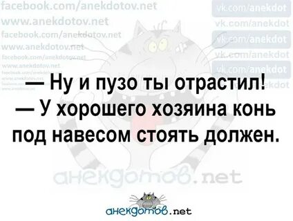 Хороший конь должен стоять под навесом