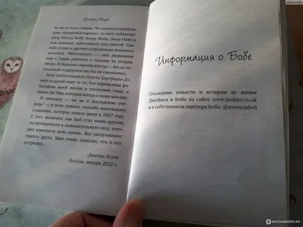 Книга без надежды читать